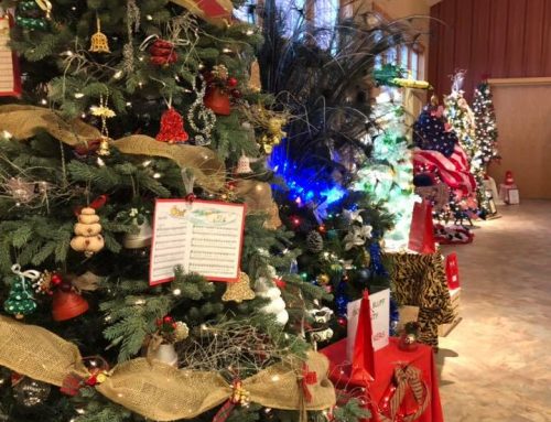 2018 Trees Along the Trail Winning Trees